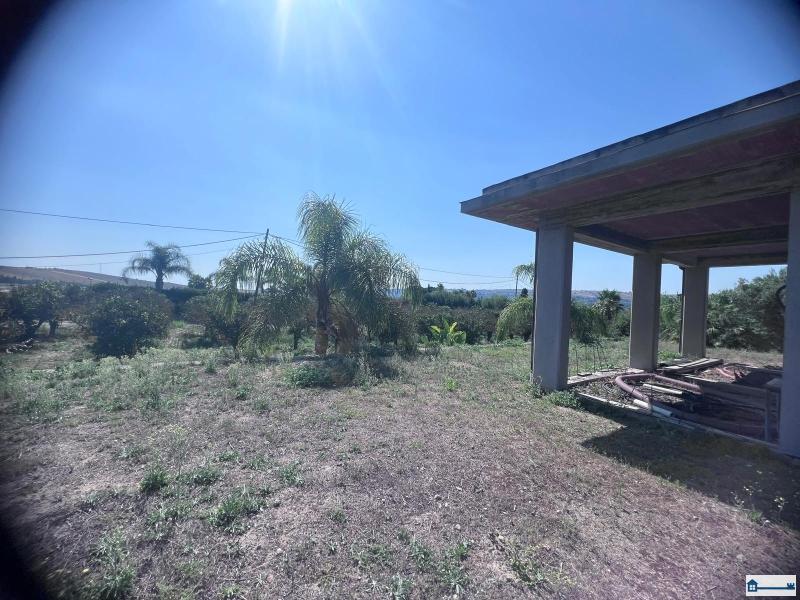 Immagine WhatsApp 2025-07-23 ore 17.39.12_df3db717.jpg